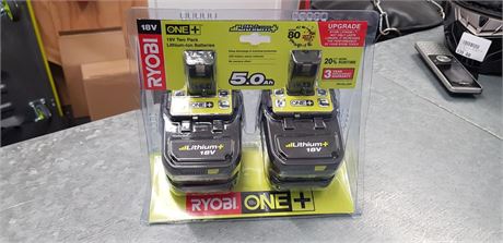 Ryobi twin 2024 battery pack